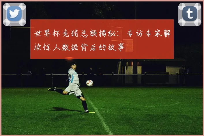 世界杯竞猜总额揭秘：专访专家解读惊人数据背后的故事